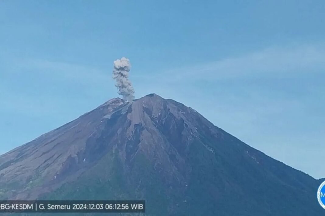 Gunung Semeru erupsi dengan letusan setinggi 900 meter di atas puncak pada Selasa pagi. (ANTARA/HO-PVMBG)