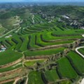 Sejumlah pencapaian yang ditorehkan Ningxia dapat dikaitkan dengan upaya gabungan antara kebijakan, ilmu pengetahuan dan teknologi, serta keterlibatan pemangku kepentingan jangka panjang. (ANTARA/XINHUA)