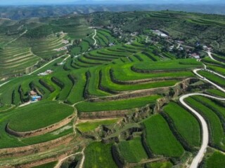 Sejumlah pencapaian yang ditorehkan Ningxia dapat dikaitkan dengan upaya gabungan antara kebijakan, ilmu pengetahuan dan teknologi, serta keterlibatan pemangku kepentingan jangka panjang. (ANTARA/XINHUA)