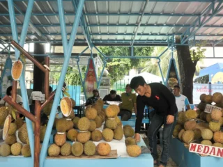 Fatal jika konsumsi durian dengan enam makanan ini