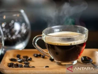 Studi: Minum kopi dan teh dapat turunkan risiko kanker kepala serta leher