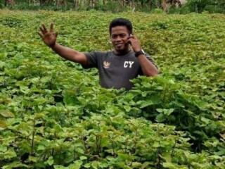Harga minyak nilam di Aceh mulai anjlok, sempat meroket sampai Rp2,3 juta/kg