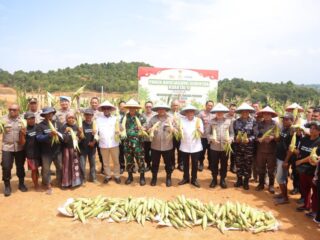 Kapolda Kepri dukung ketahanan pangan, ikuti panen jagung serentak