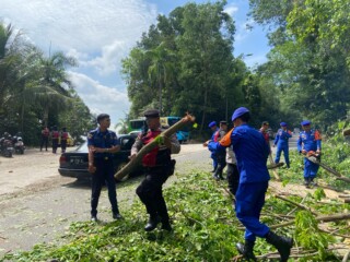 Polresta Barelang siaga, evakuasi pohon tumbang di tengah libur Lebaran