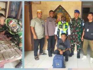 Petugas Bandara Sentani gagalkan penyelundupan ganja
