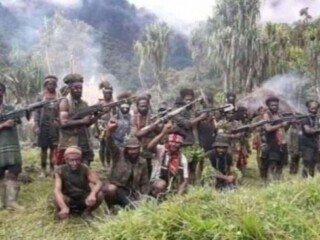 Komnas HAM berharap Presiden Prabowo bentuk tim penyelesaian konflik Papua