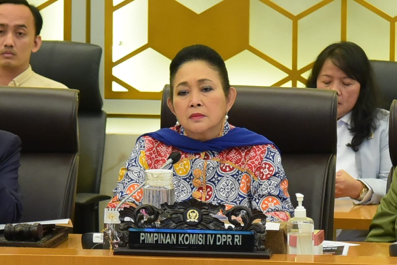 Anggota DPR Titiek Soeharto desak pemerintah tindak tegas pengoplos beras premium