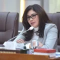 Komisi IX DPR desak pemerintah benahi data keluarga stunting