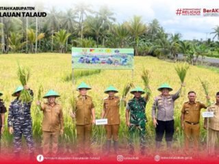 TNI/Polri serta Pemkab Talaud bersinergi dukung swasembada pangan