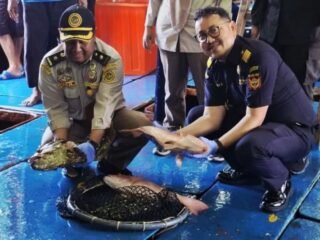 Karantina Kepri kawal ekspor ikan hidup Natuna ke pasar global