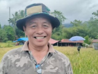 Terapkan teknologi OPT, Tomohon mulai panen padi organik