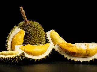 Seiring meningkatnya permintaan dunia, durian Indonesia muncul sebagai kekuatan baru industri global