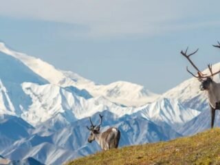 Utqiagvik Alaska, kini memasuki masa gelap yang berlangsung selama dua bulan