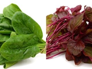 Agar tidak gampang sakit, sebaiknya konsumsi makanan yang kaya antioksidan