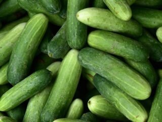 Sejumlah sayuran yang bisa turunkan kadar asam urat