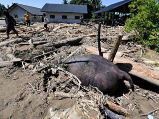 Data korban banjir Sumatera tembus 744 jiwa