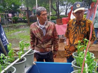 Budidaya lele jadi solusi ketahanan pangan warga Pamulang Timur