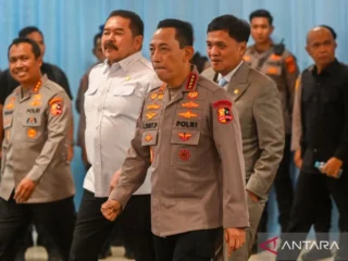 KUHP beri batasan jelas antara kritik dan penghinaan