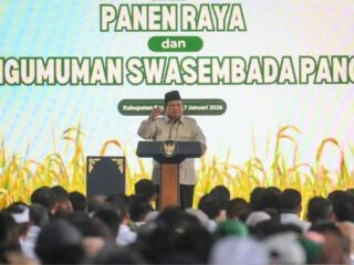 Presiden umumkan secara resmi Indonesia swasembada pangan, ulang sejarah kejayaan