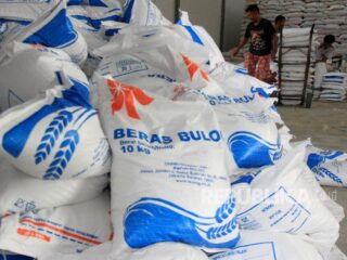 Bulog siap ekspor beras jika cadangan nasional mencapai empat juta ton