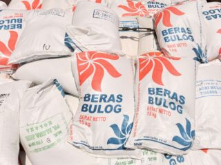 Produksi beras surplus, serapan Bulog jadi kunci harga gabah