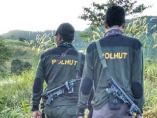 Kemenhut siapkan formasi CPNS sebanyak 21.000 untuk polisi kehutanan
