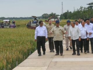 Indonesia masuki fase kemandirian pangan: Prabowo pamerkan wajah baru industri pertanian