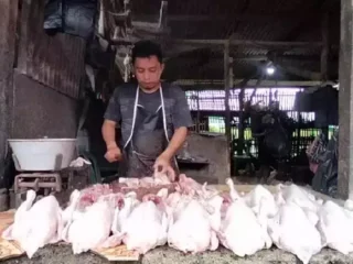 Harga daging ayam di Subang melonjak akibat pasokan seret jelang ramadan