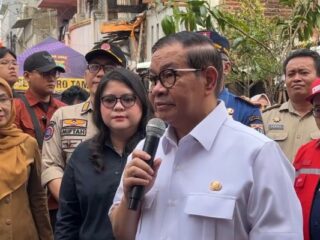 Pemprov DKI Jakarta datangkan 3.100 ekor sapi dari Australia guna menekan inflasi pasar