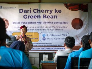 Kolaborasi IKN–BI perkuat kapasitas petani kopi liberika untuk dongkrak daya saing
