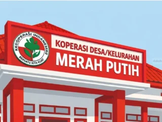 Batasi intervensi negara dalam koperasi, susun dasar regulasi yang jelas untuk KDKMP
