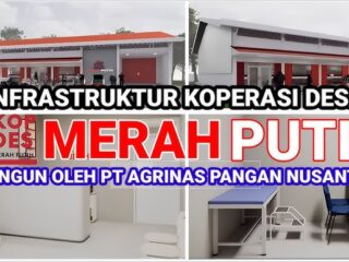 Dana desa untuk koperasi desa: Investasi atau pemotongan?
