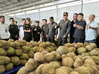 Indonesia kirim sebanyak 4.077 ton Durian beku ke China tahun ini