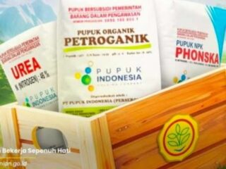 Barang subsidi sebaiknya didistribusikan melalui KDKMP