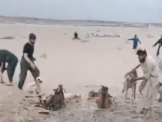 Banjir landa Afghanistan dan Pakistan, 121 orang dinyatakan tewas