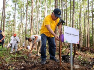 Hermina Hospitals menanam di IKN, dukung konsep 'forest city' di Ibu Kota Nusantara