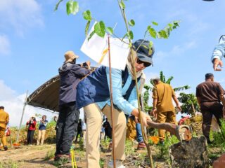 Pulihkan Tahura Bukit Soeharto, Otorita IKN libatkan multipihak atasi perambahan hutan