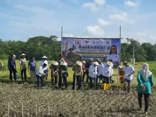 Target putus ketergantungan kedelai impor, UGM gandeng 2.500 petani