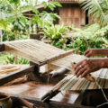 batang papaya jadi bahan tekstil