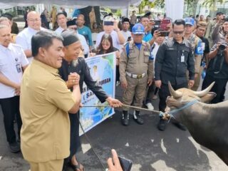 Iduladha 2026, Pemprov Sulut prioritaskan hewan kurban untuk daerah kurang mampu