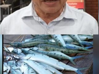 Prof Ir KWA Masengi:  Ikan Balobo bisa jadi bahan baku sashimi premium berkelas ekspor