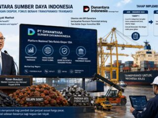 PT Danantara Sumberdaya Indonesia, dan masa depannya