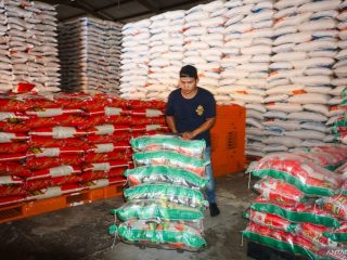 Hadapi potensi musim kemarau dan El Nino, stok pangan nasional aman