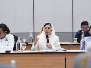 DPR dorong pengusutan tuntas dugaan korupsi batu bara tanpa intervensi