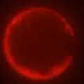 Sel sintetis SpudCell
