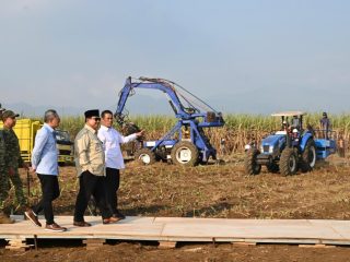 Prabowo: Beras dianggap mahal? Tanam padi sendiri! Presiden minta hargai petani secara layak