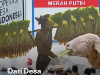 ‘Benefit oriented’ versus ‘Profit oriented’ dalam koperasi