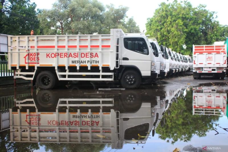 Kopdes Tolis