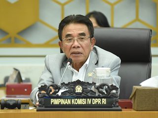 DPR dorong aturan nikotin tetap lindungi industri tembakau nasional