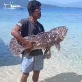 Ikan purba Coelacanth